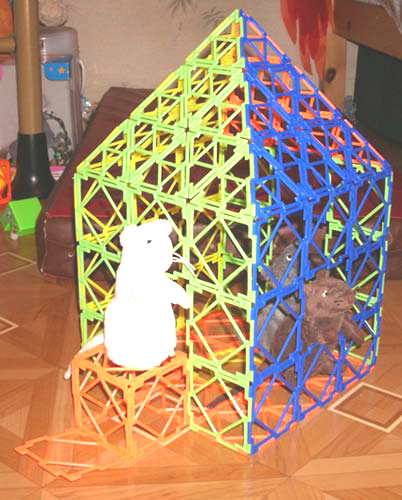 Pythagoras Mouse House